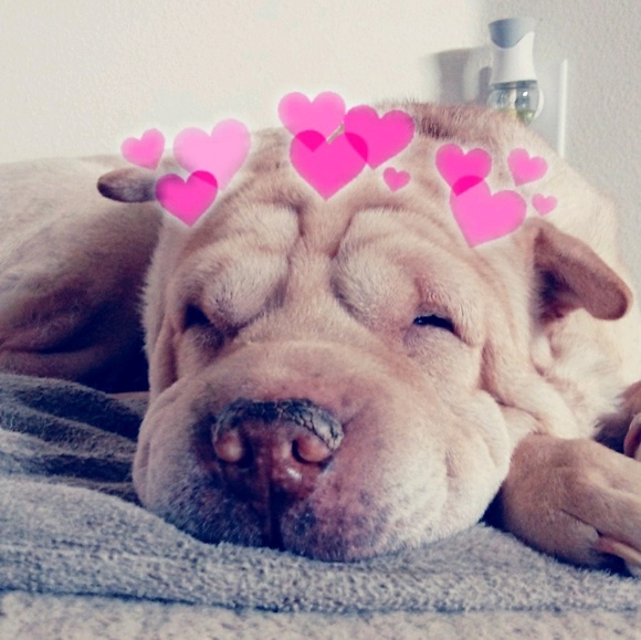 Meet your Posh Ambassador, C - Picture 2 of 16